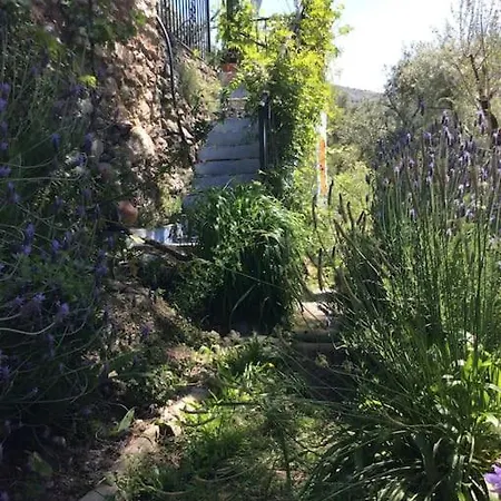 Charming, Tranquil Rustic Cortigo Hébergement de vacances *
