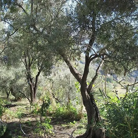 Charming, Tranquil Rustic Cortigo Hébergement de vacances *